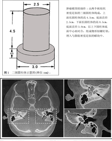 《影像診斷與介入放射學(xué)》簡介