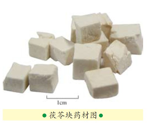 夏日消腫大良方:利水滲濕藥
